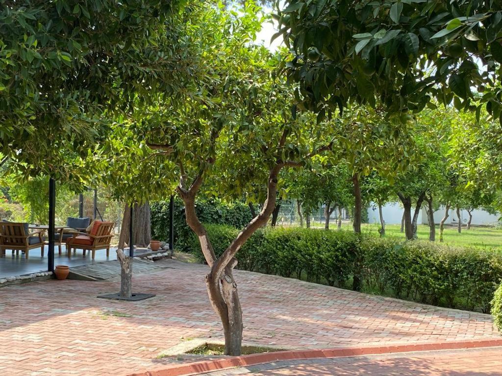 Omorfi Garden Resort Kemer Ngoại thất bức ảnh
